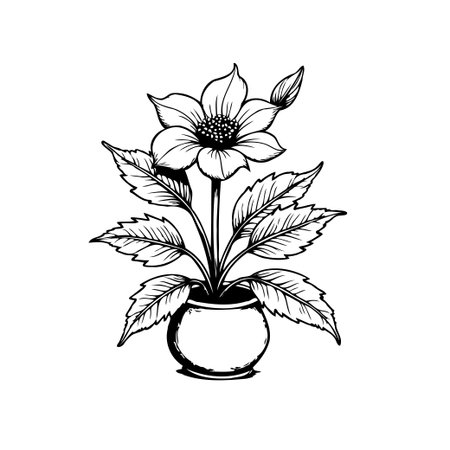A simple yet elegant hand-drawn illustration of a flower in a pot. Great for adding a touch of nature-inspired charm to any project.のイラスト素材