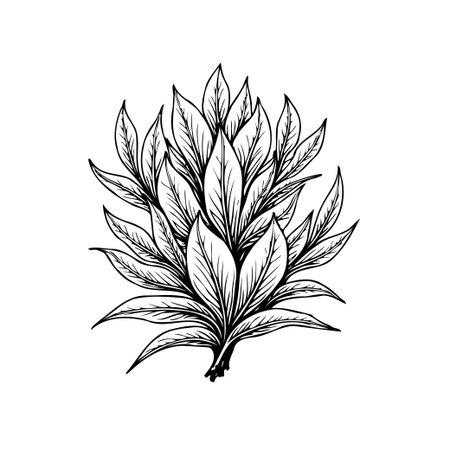 An elegant botanical illustration features detailed leaves and branches, capturing the beauty of nature in monochrome. Perfect for artistic and decorative projects.のイラスト素材