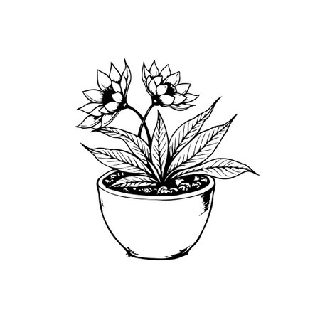 Black and white floral sketch of a plant with blossoms in a pot. Hand-drawn botanical illustration perfect for adding a natural touch.のイラスト素材