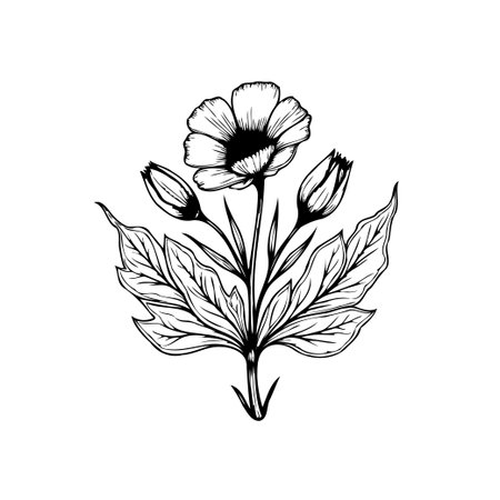 A detailed black and white illustration of a floral arrangement. Showcasing a blooming flower with elegant buds and leaves.のイラスト素材