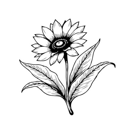 A beautifully detailed line art illustration of a sunflower with prominent leaves and petals, perfect for adding a touch of natural elegance to designs.のイラスト素材