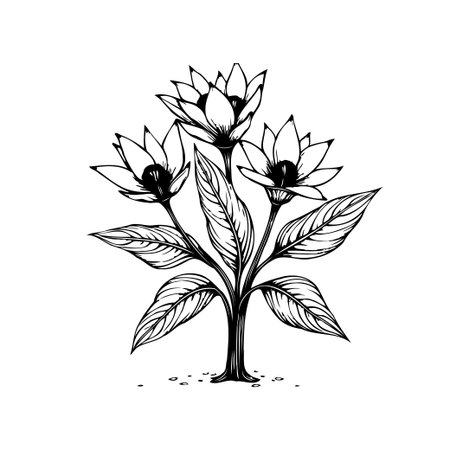 A beautifully detailed botanical illustration showcases a delicate flower cluster with elegant leaves. This artwork evokes a sense of timeless beauty and natural charm.のイラスト素材