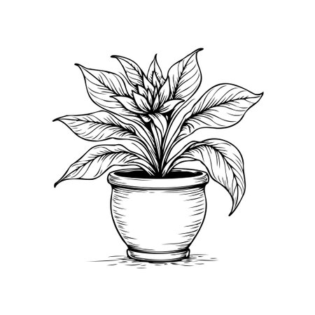 This illustration showcases a detailed drawing of a potted plant, perfect for adding a touch of natural beauty to any design. It's a timeless and elegant graphic.のイラスト素材
