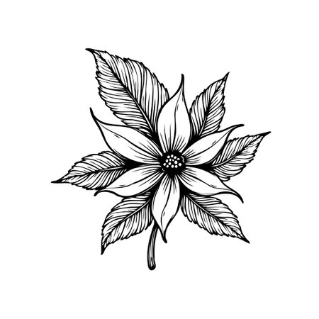 An artistic, detailed black and white drawing of a blooming flower with intricate petals and leaves. Suitable for botanical illustrations or decorative designs.のイラスト素材