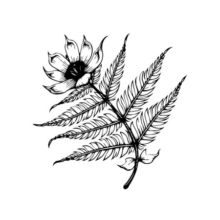 Detailed black and white drawing of a fern frond and flower. A botanical illustration with intricate details, perfect for adding a touch of nature to any design.のイラスト素材