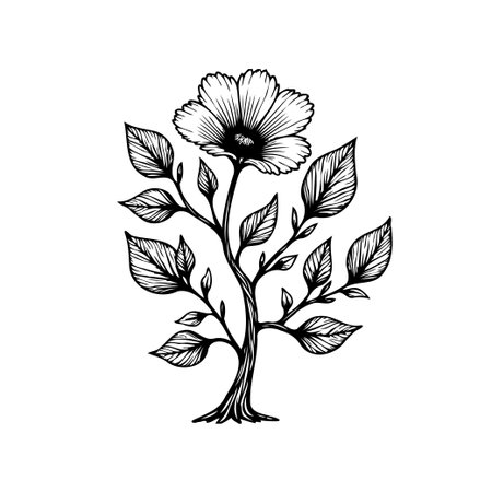 This black and white botanical illustration features a blooming flower with delicate leaves and branches. It's perfect for adding a touch of nature and elegance to any design project.のイラスト素材