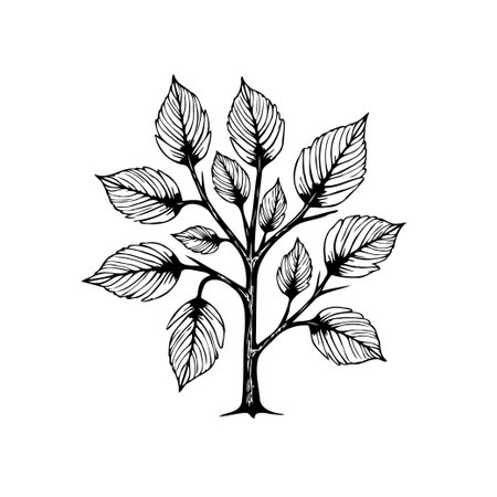 A beautifully detailed illustration of a tree showcases its leaves and branches, ideal for nature-themed projects. The simple yet elegant design adds a touch of sophistication.のイラスト素材