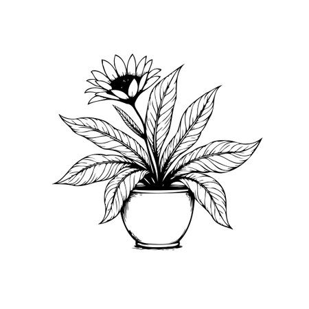 A captivating black and white illustration showcasing a potted plant with a flower. The artwork emphasizes detailed lines, creating a timeless botanical design.のイラスト素材