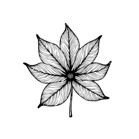 A detailed botanical illustration of a single chestnut leaf. The intricate line work captures the beauty of nature in a minimalist design.のイラスト素材