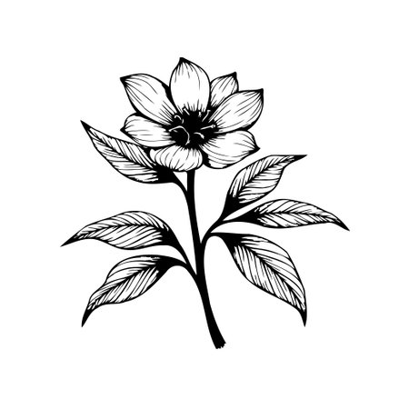Elegant black and white botanical illustration showcasing a beautiful flower with intricate leaves. Ideal for various design projects and artistic creations.のイラスト素材
