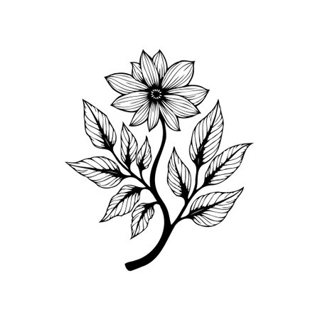 Detailed monochrome floral illustration featuring a single flower with leaves. Perfect for botanical design, invitations, or decorative artwork. The intricate line work creates an elegant and timeless look.のイラスト素材