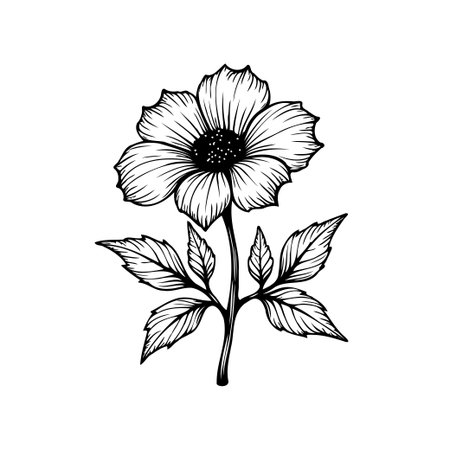A detailed botanical illustration of a flower with leaves. The black and white drawing captures the elegance and simplicity of nature's beauty.のイラスト素材