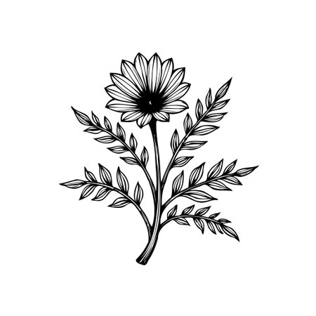 This is a detailed black and white botanical illustration of a flower with leaves. Perfect for adding a touch of nature and elegance to any project.のイラスト素材