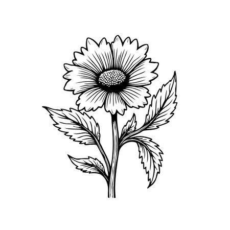 A detailed monochrome botanical illustration showcases a blooming flower with leaves. This artwork is perfect for adding a touch of nature-inspired beauty to your project.のイラスト素材