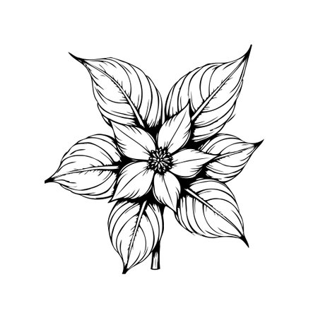 Detailed botanical illustration of a flower with intricate petals and leaves, rendered in a minimalist black and white style, perfect for design projects.のイラスト素材