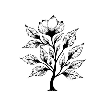 This hand-drawn floral illustration features a beautiful flower with intricate details. Perfect for adding an elegant and organic touch to your designs.のイラスト素材