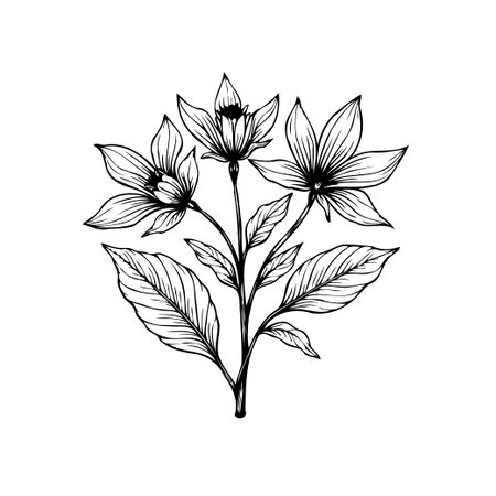 A detailed black and white floral illustration showcases a botanical drawing. The elegant design features blossoming flowers and intricate leaf patterns.のイラスト素材