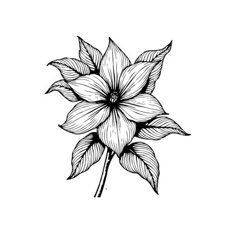 Elegant black and white botanical illustration featuring a detailed flower and leaves. Perfect for adding a touch of nature and sophistication to any design project.のイラスト素材