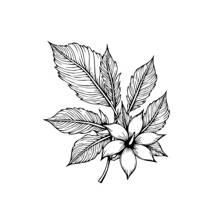 A detailed botanical illustration showcases a flower and leaves in monochrome. The design captures nature's beauty through intricate lines and elegant form.のイラスト素材