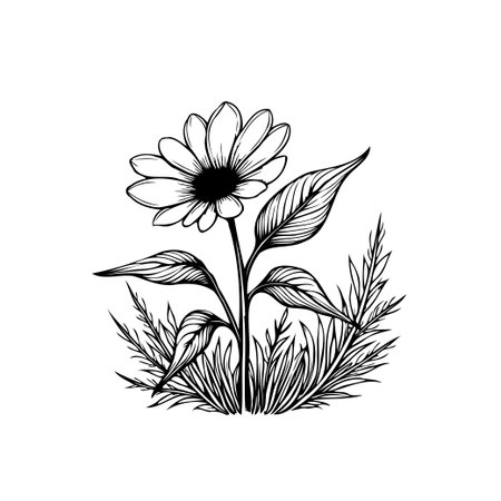 A delicate floral sketch showcases the beauty of nature with its detailed petals and leaves, rendered in a monochrome style that exudes timeless elegance and botanical charm.のイラスト素材