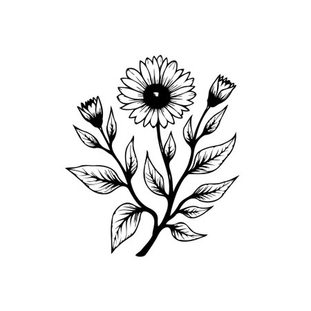 A beautifully detailed floral illustration showcasing a sunflower with delicate leaves, perfect for adding an elegant touch to various design projects.のイラスト素材