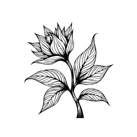 An elegant flower illustration features a blooming blossom with detailed leaves. This monochrome vector art showcases intricate details, perfect for botanical designs.のイラスト素材