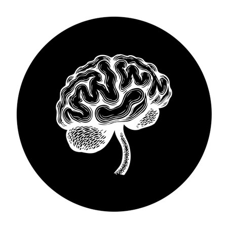 A detailed vector illustration showing a human brain in a black circle, the image symbolizes intellect, knowledge, cognitive functions, suitable for medical or educational use.のイラスト素材