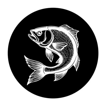 Elegant white carp illustration on black background. Perfect for fishing enthusiasts, nature lovers, and graphic designers looking for a minimalist and artistic touch.のイラスト素材