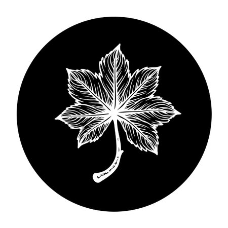 A minimalist illustration of a single leaf, depicted in black and white. The drawing captures the intricate details of the leaf's veins and shape.のイラスト素材