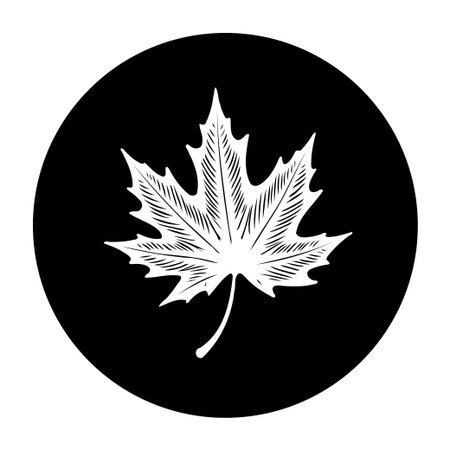 A sleek and stylized maple leaf illustration set against a black circular background. Ideal for designs needing a natural, minimal, and iconic symbol.のイラスト素材