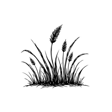 A minimalist black and white illustration featuring grass and wheat plants. The detailed textures create a natural and organic look, ideal for graphic design projects.のイラスト素材