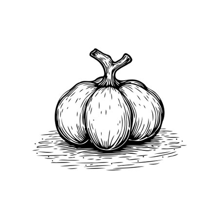 A detailed black and white illustration of a pumpkin. Perfect for autumn-themed designs, harvest festivals, or culinary projects, adding a touch of rustic charm to your work.のイラスト素材