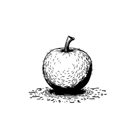A detailed engraving illustration of a single apple, emphasizing fresh and healthy food. The monochrome design highlights the texture and form, perfect for culinary or design projects.のイラスト素材