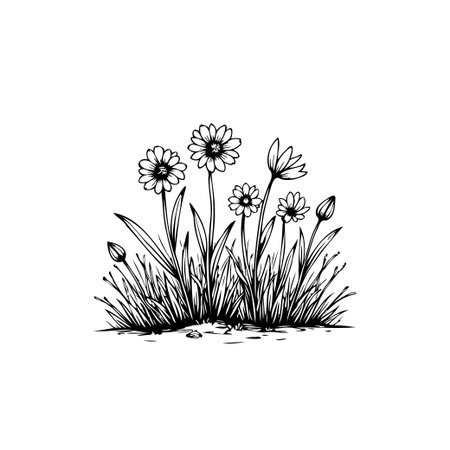 Hand-drawn illustration of a chamomile field with wildflowers and grass. A simple and artistic design featuring blooming plants and buds.のイラスト素材