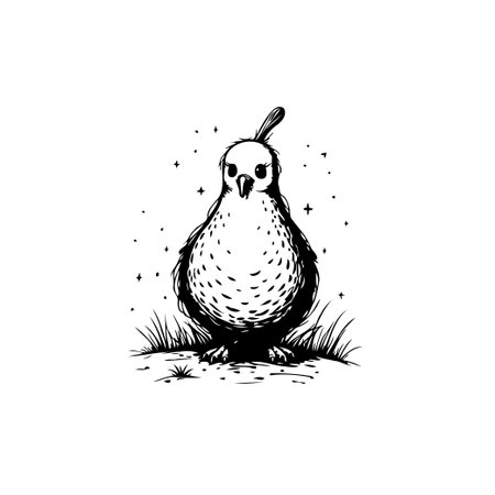 Detailed black and white quail illustration, set against sparse grass, evoking nature's simplicity. Perfect for decorative, artistic projects.のイラスト素材
