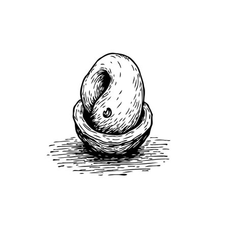 This illustration shows a single coffee bean that's been intricately detailed and shaded, giving a vintage and artistic touch to represent the essence of coffee.のイラスト素材