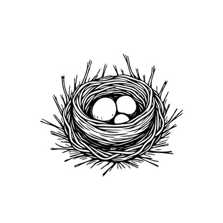 A monochrome ink drawing of a bird's nest cradling eggs, ideal for nature-themed designs or artistic projects that need a simple yet elegant touch.のイラスト素材
