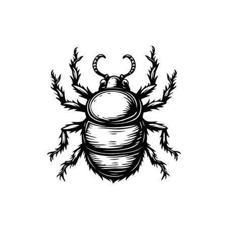 A detailed black and white illustration of a beetle, showcasing its intricate anatomy and vintage...