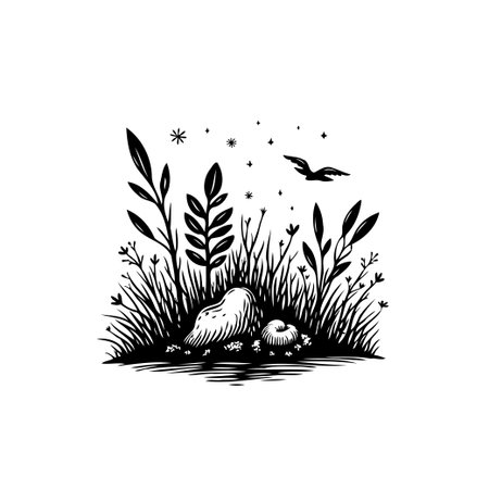 A minimalist nature illustration featuring detailed line work with plants, rocks, a bird in flight, and stars. The monochrome artwork evokes a sense of tranquility and simple beauty.のイラスト素材