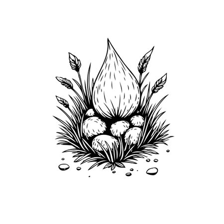 A detailed black and white illustration showcases a cluster of mushrooms surrounded by tall grasses. The drawing captures the essence of a forest floor with an artistic touch.のイラスト素材