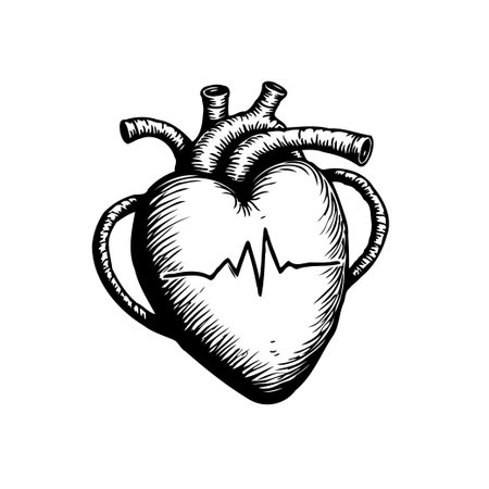 Detailed heart illustration showcases the intricate anatomy of a human heart with the heartbeat graphic. Representing life, health, and the cardiovascular system. Great for medical and healthcare purposes.のイラスト素材
