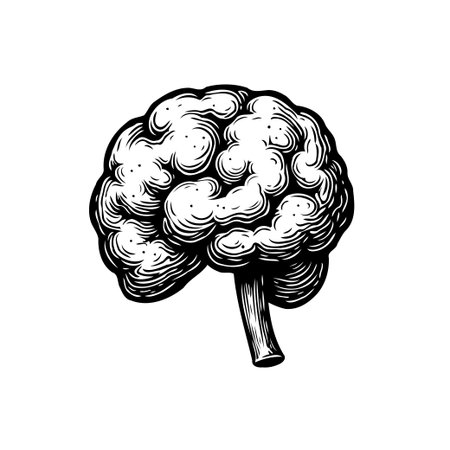 A monochrome engraving of a brain, symbolizing intellect, knowledge, and the fascinating field of neurological science. It's an artistic representation of the complexities of the human mind.のイラスト素材