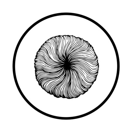 A monochrome illustration features swirling lines arranged in a circular pattern, contained within a bold circular frame, creating an abstract and hypnotizing design.のイラスト素材