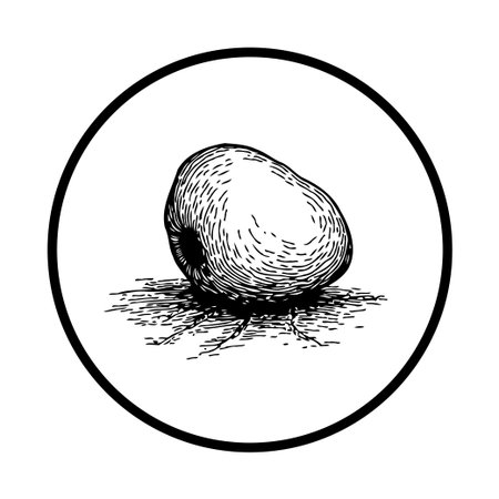 Monochrome vector illustration of an apple using a graphic drawing effect. The illustration has simple lines on a white circular backdrop.のイラスト素材