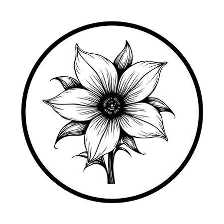 A detailed black and white botanical illustration features a flower with gracefully curved petals. Encased within a circular frame, this design offers a timeless and elegant aesthetic perfect for various creative projects.のイラスト素材