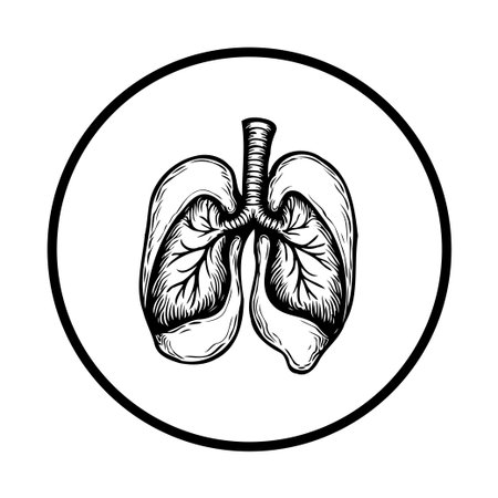 Detailed monochrome anatomical illustration of human lungs inside a circle, isolated on a white background. Representing respiratory health, medicine, and anatomical study of the organ.のイラスト素材