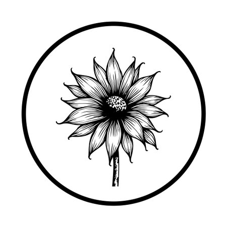 This is a monochrome botanical illustration showcasing a sunflower inside a circular frame. The intricate line art captures the beauty and elegance of nature.のイラスト素材