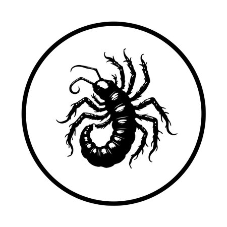 A detailed black scorpion design is encircled within a white background and a circular frame enhancing visibility. It can be used for tattoos, logos and other designs.のイラスト素材