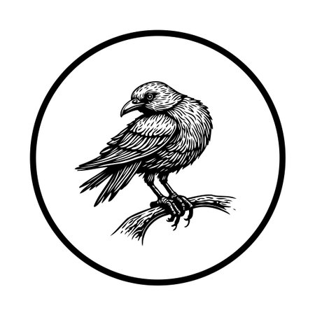 A meticulously detailed, monochrome illustration of a raven perched on a branch, encircled. The image is rendered in a classic, vintage style with fine line work.のイラスト素材