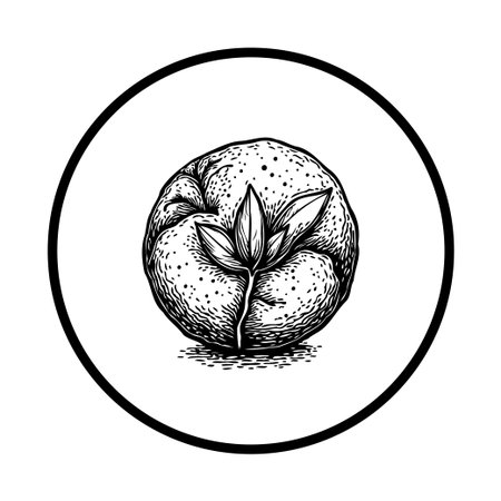 A detailed hand-drawn illustration of a citrus fruit adorned with leaves, enclosed within a round frame. The monochromatic design highlights the natural beauty and freshness of the fruit.のイラスト素材